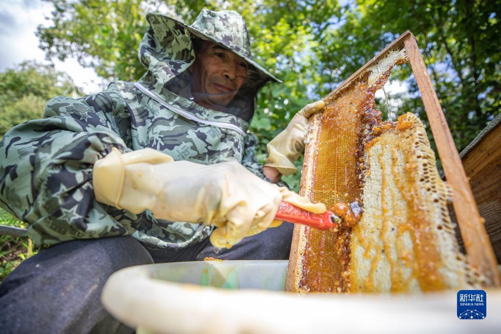 乐游网官方网站